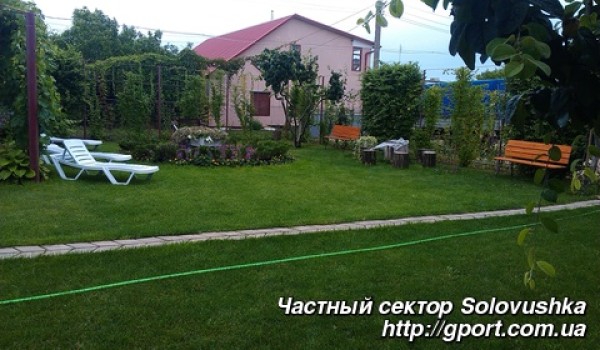 Solovushka_13