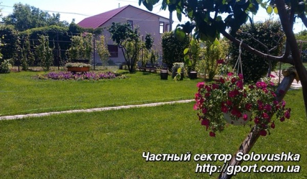 Solovushka_5