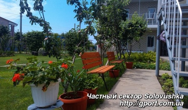 Solovushka_8